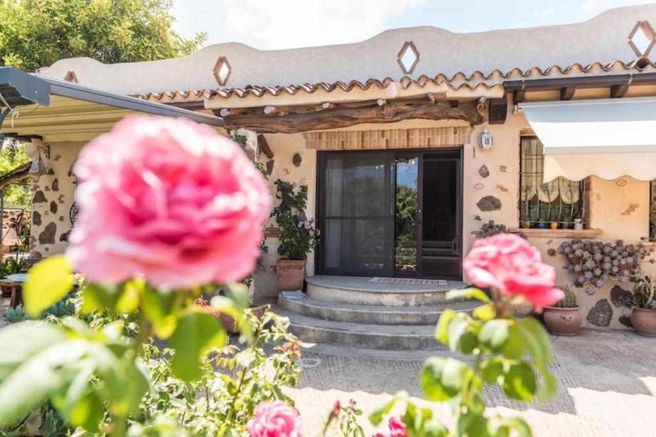 Villa Con Immenso Giardino オロゼーイ エクステリア 写真