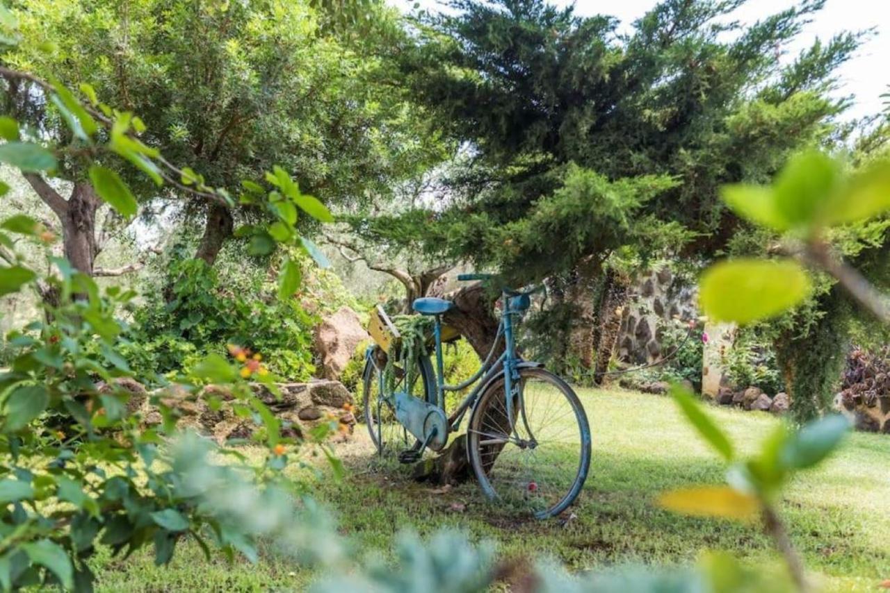 Villa Con Immenso Giardino オロゼーイ エクステリア 写真
